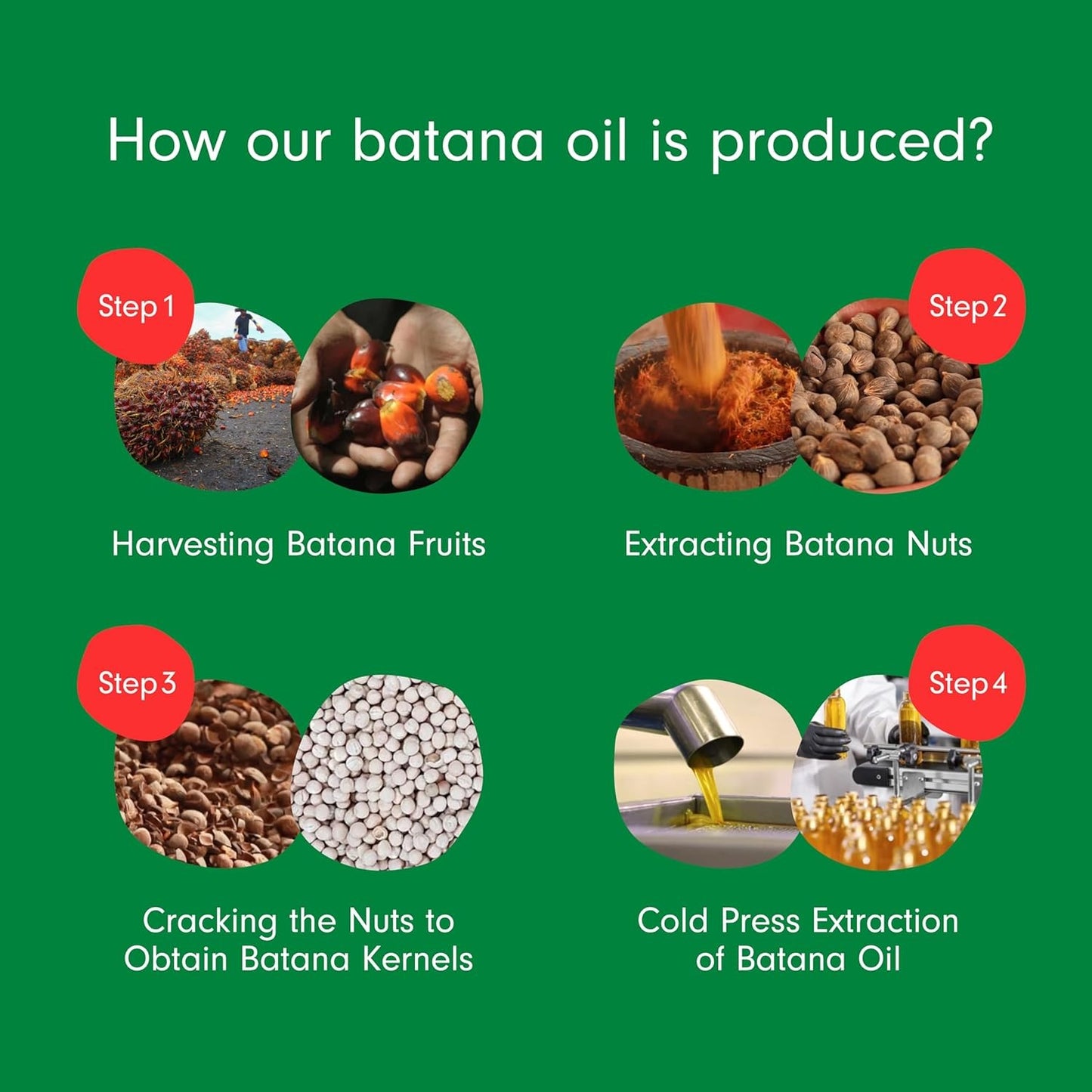 Dersie Batana Oil for Hair Growth
