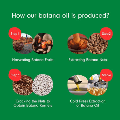 Dersie Batana Oil for Hair Growth